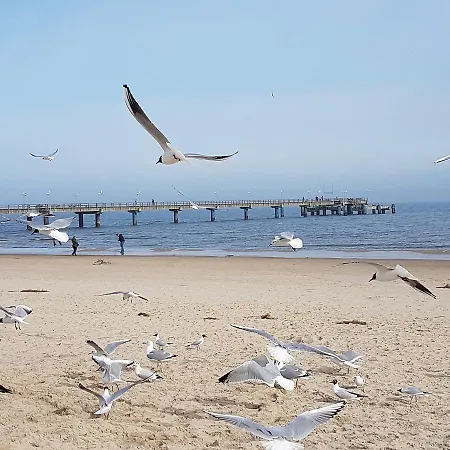 Frieda Appartement Heringsdorf (Usedom)